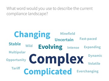 Word cloud describing the compliance landscape