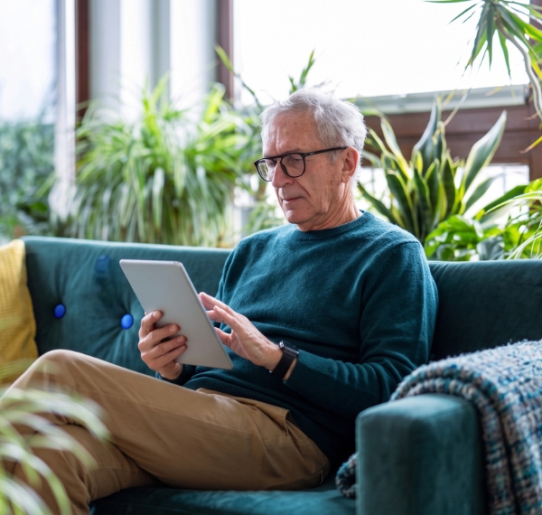 Fraud Typologies Facing Pension Schemes